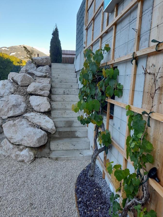 Auszeit Am Weinbuehel Apartment Bad Ischl Luaran gambar